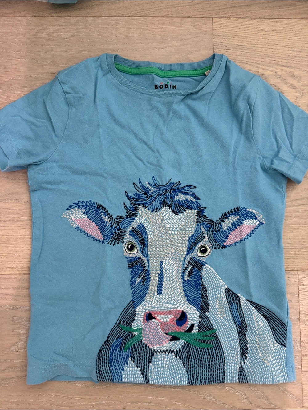 Mini Boden Graphic Kids T-Shirt